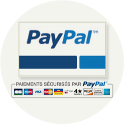 pagos seguros paypal